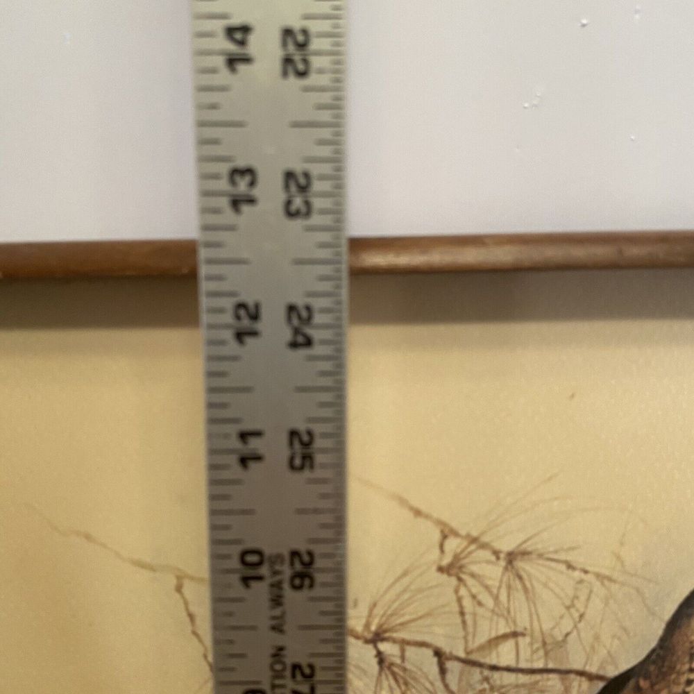 Large Vintage Wood Serving Tray Pheasant Grouse Nature Scene Wooden 19" x 12" - Picture 8 of 9